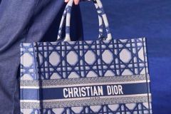 borse-autunno-inverno-2023-2024-Dior-clp-F23-065