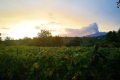 Etna-Eruption_s-from-Casa-Decima-Vineyard