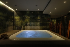 Jacuzzi-SPA