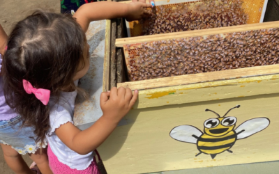 Mama in Sicily: appunti di viaggio | Un’esperienza da vivere tra api e farfalle alle pendici dell’Etna