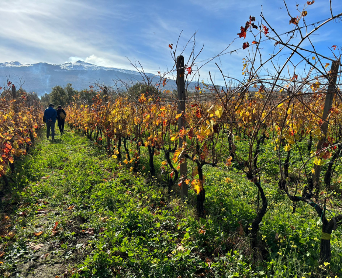 Di-Vino Muri a secco