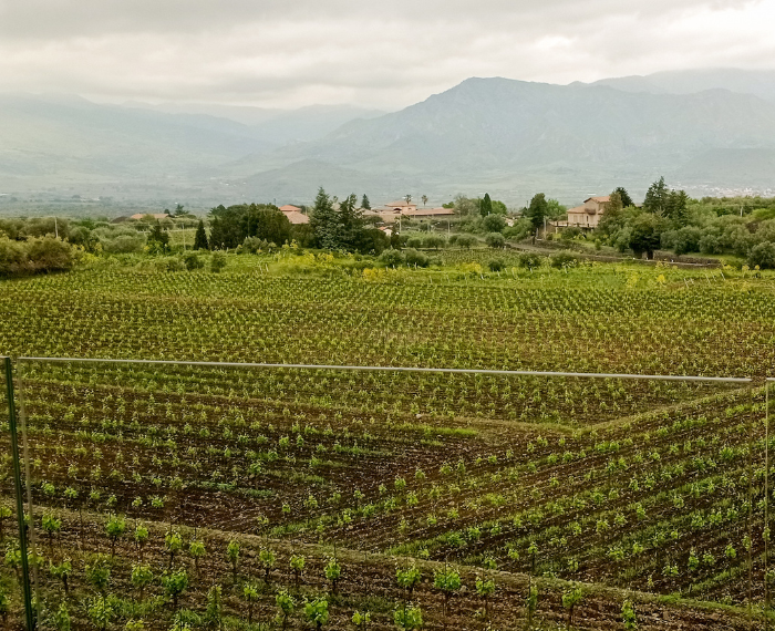 Cantina Pietradolce