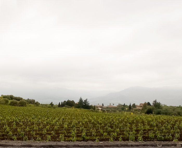 Cantina Pietradolce