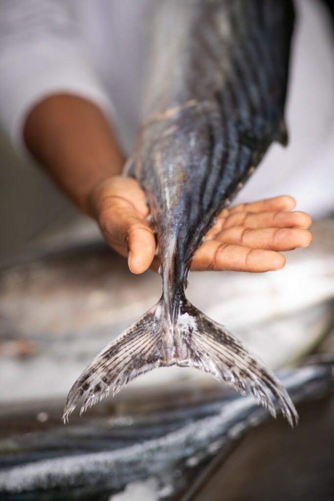 Pesca sullo Stretto di Messina