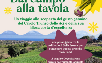 DAL CAMPO ALLA TAVOLA