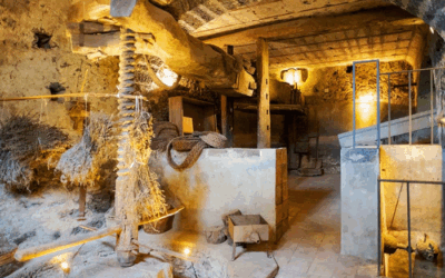 A TAVOLA COL TRUNZO 4 Chef, un solo protagonista: il Cavolo Trunzo delle Aci.