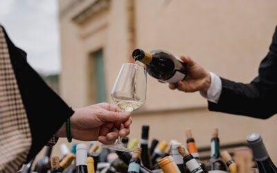 XXI edizione di Sicilia en Primeur.  Al Castello dei Conti di Modica una giornata di approfondimenti sui temi che riguardano il mondo vino