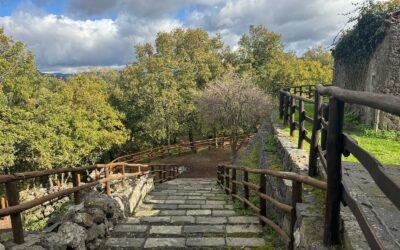 20 DICEMBRE: ETNA, IL PARCO SCIARONE RACCONTA LA FORZA DEL VULCANO E LA VITA DELLA TERRA
