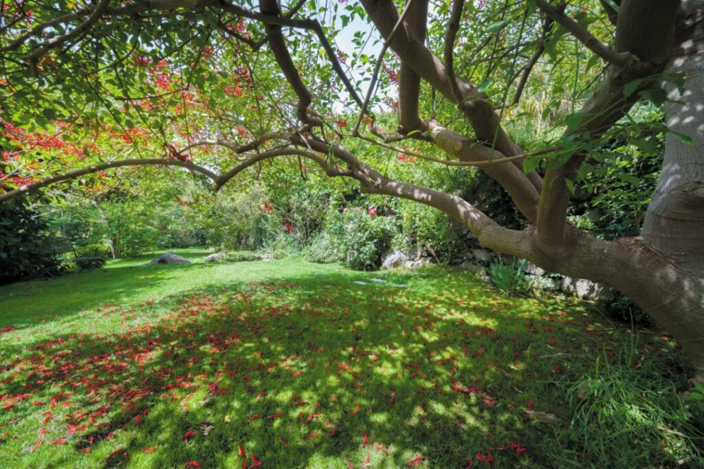 Cosa fare a Catania nel weekend