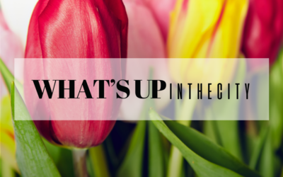 Catania nel weekend del 7 e 8 marzo: tutti gli eventi unici e imperdibili del fine settimana