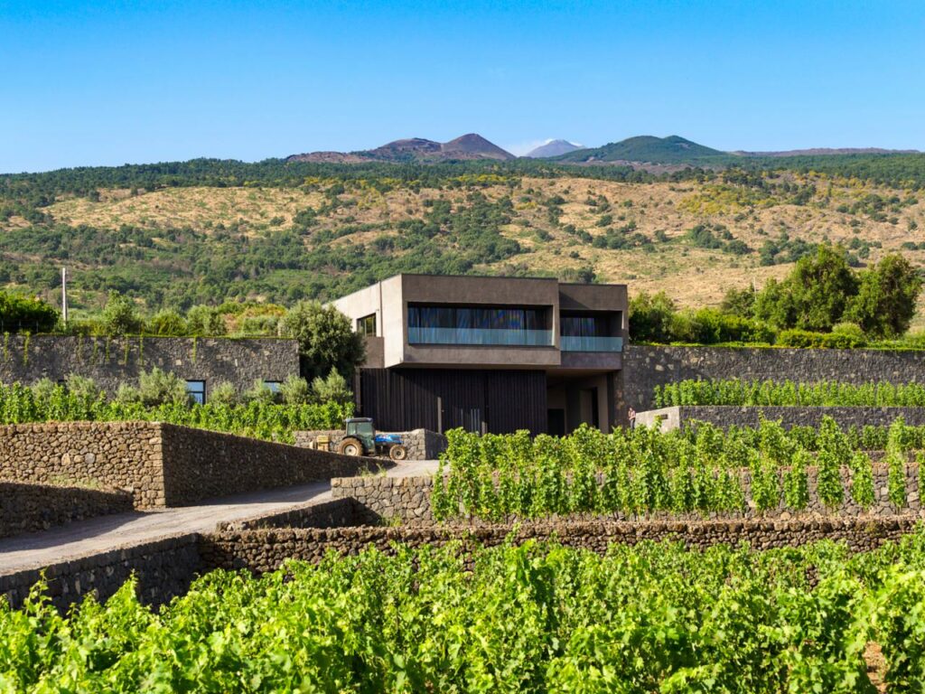 Cantina Pietradolce sull'Etna, location di Incroci di Vite 2026 wine experience