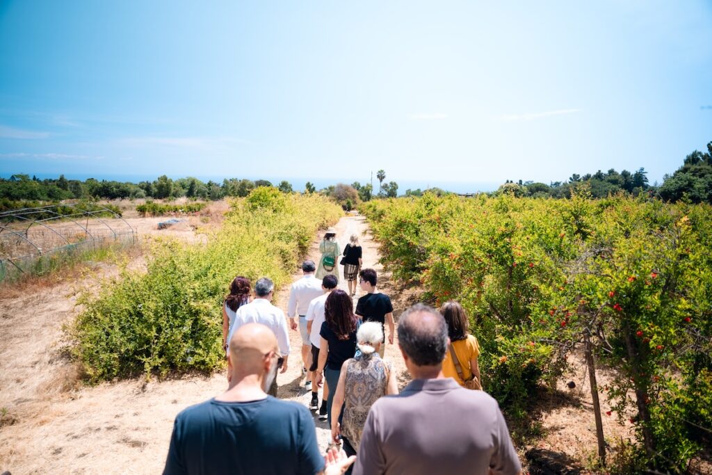 Visita guidata al giardino botanico della Batia dell'Arcangelo Gabriele durante Botanica del Sapore